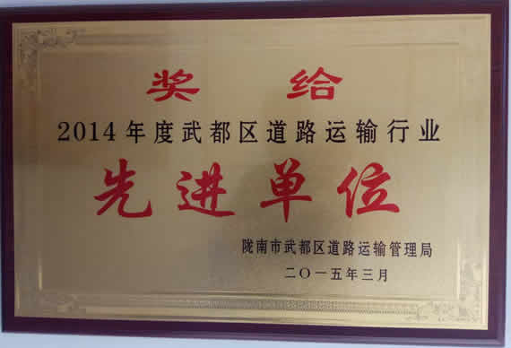 2014年武都區(qū)道路運輸行業(yè)先進